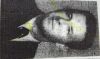 Tate, Daniel Harrison Sr.